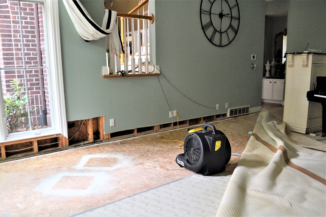 Water damage to walls and flooring showing the need for professional restoration